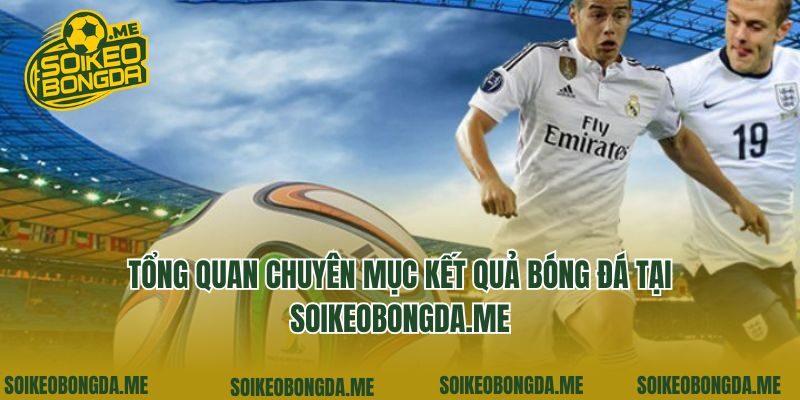 Tổng quan chuyên mục kết quả bóng đá tại sunnycrown.com.tw