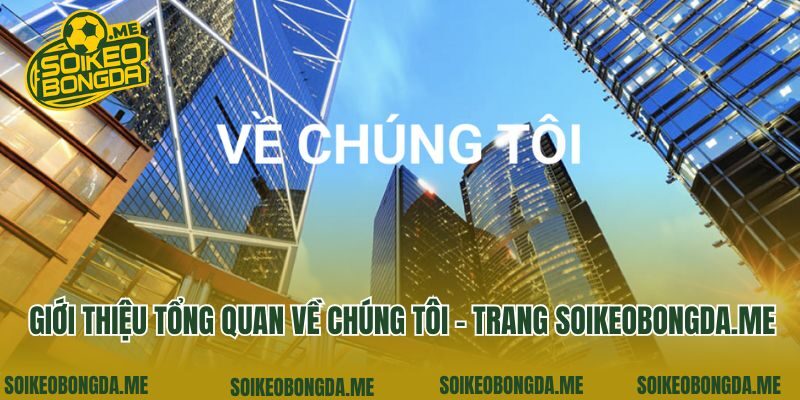 Giới thiệu tổng quan về chúng tôi - trang sunnycrown.com.tw