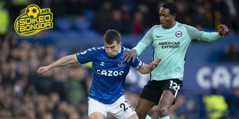 Lịch sử chạm trán của Brighton vs Everton