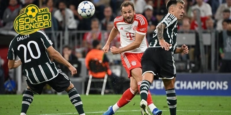 Lịch sử chạm trán của PSV vs Munich